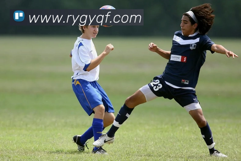 多媒体互动体验